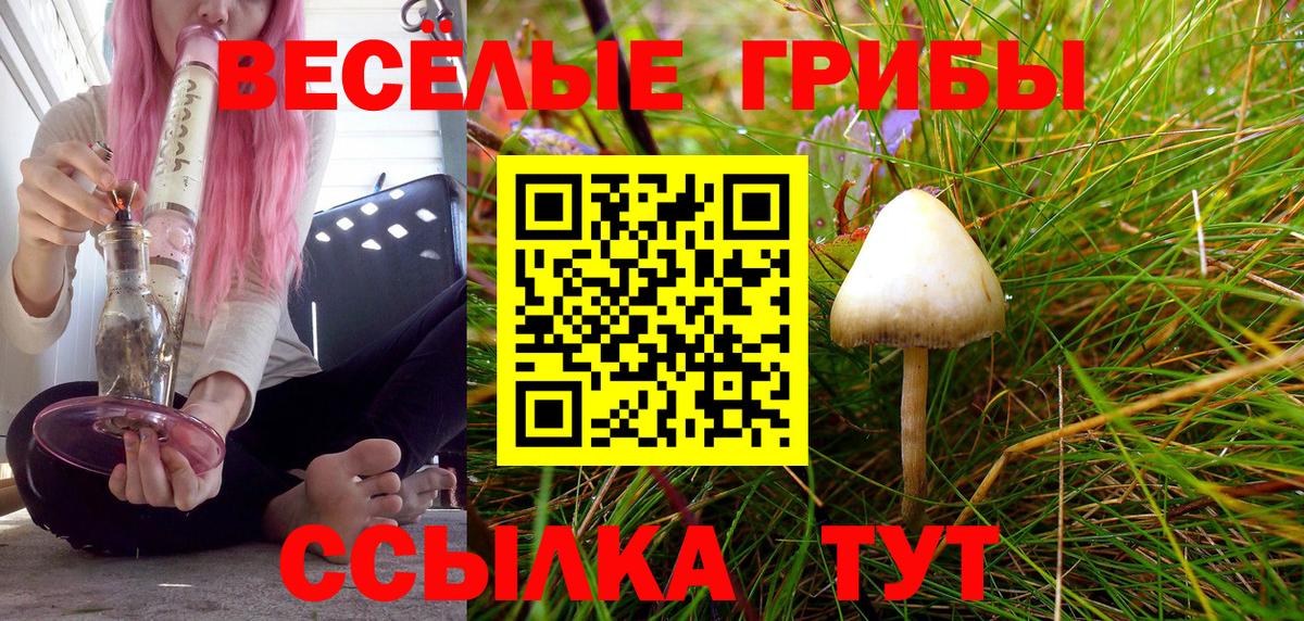 Псилоцибиновые грибы Cubensis  Галлюциногенные грибы GOLDEN TEACHER  Вход с VPN  Учалы 